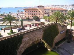 Resize of P1012001.JPG